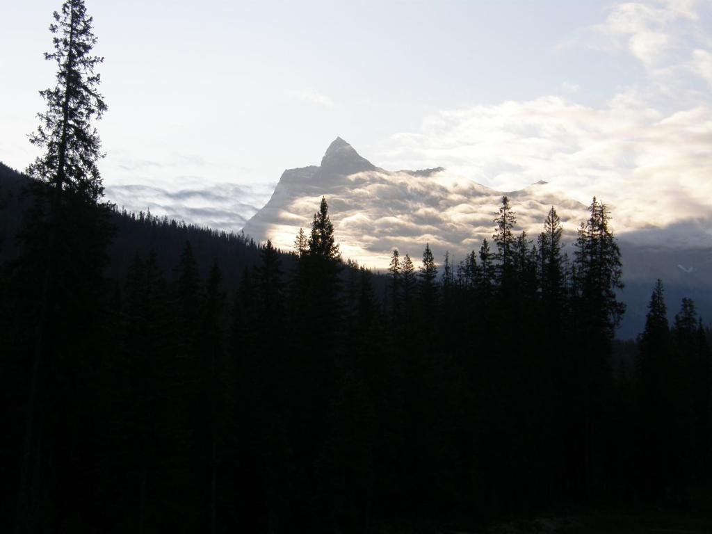 Yoho Chalets Villa Golden Buitenkant foto